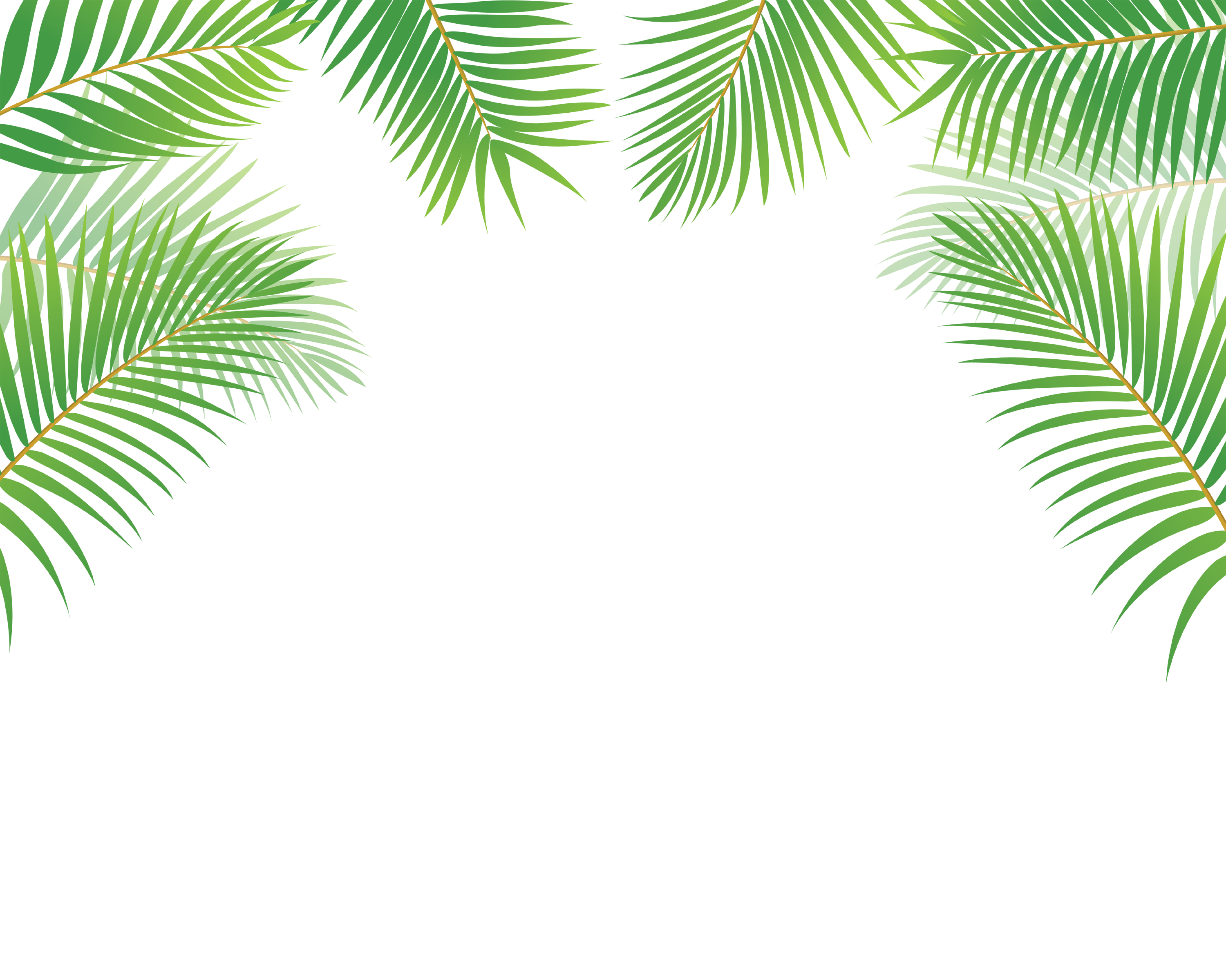 leaf border png