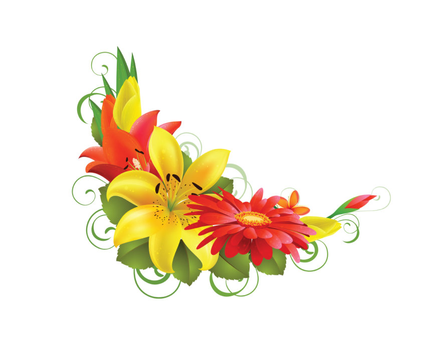 Beautiful Flower Corner Border Png