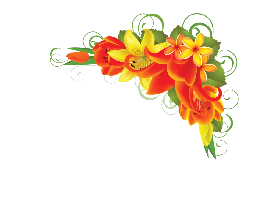 Flower Corner Border Png