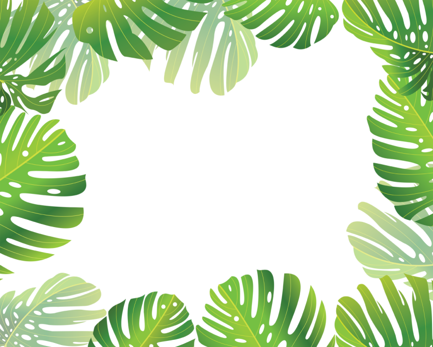 Green Tropical Leaves Frame Png