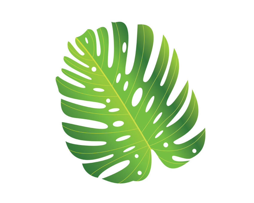 Green Tropical Leave Png Free Download