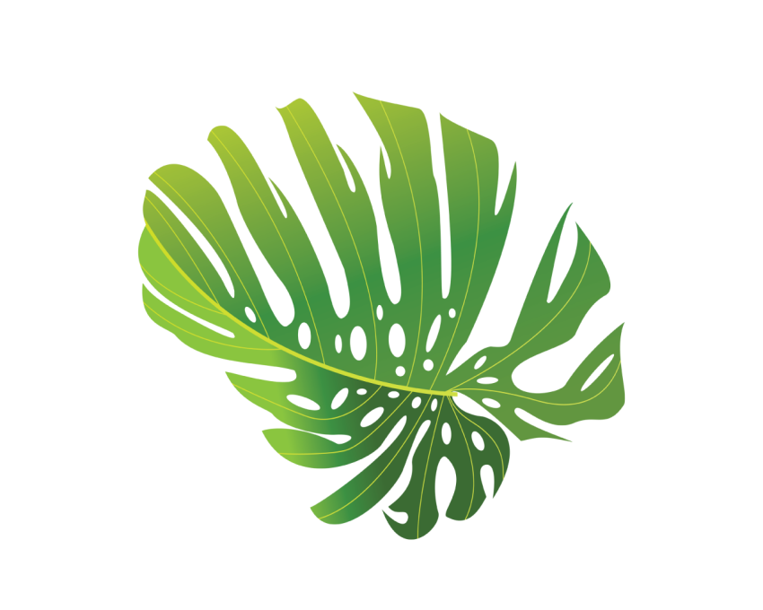 Green Tropical Leave Png Free Download