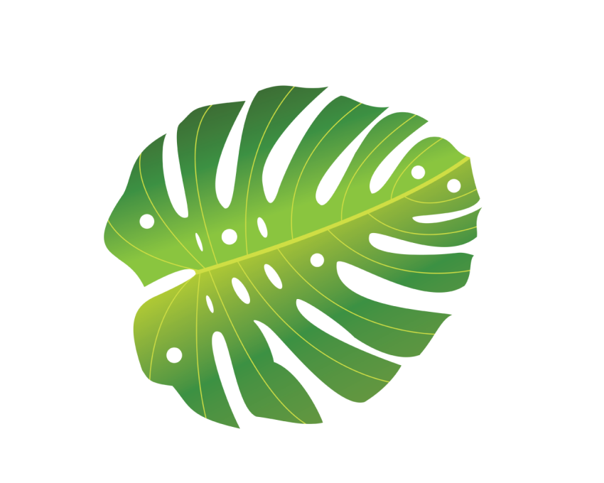 Green Tropical Leave Png Free Download