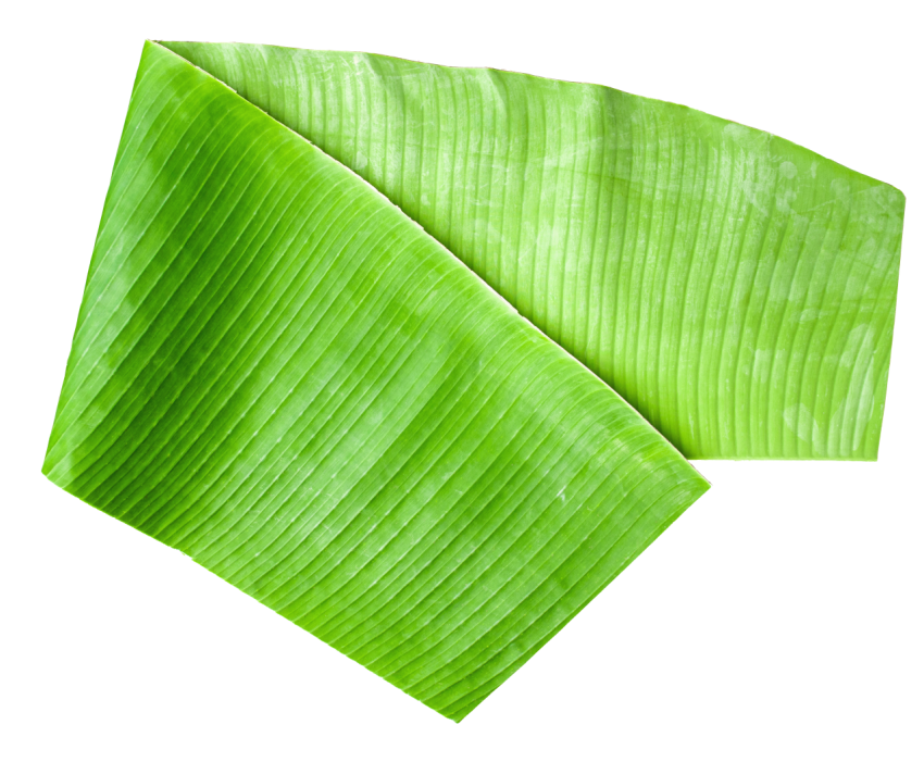Fresh Green Banana Leaf Png