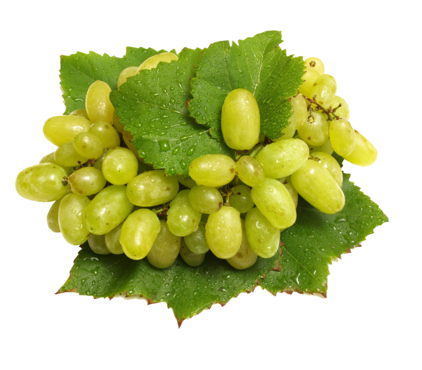 Grapes Png Free Download