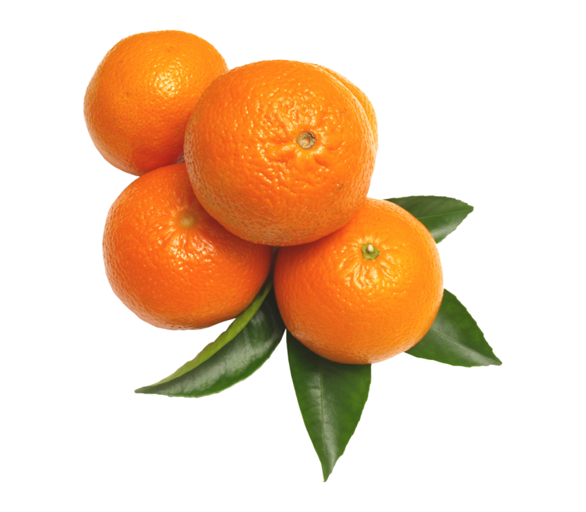 Orange Png Free Download