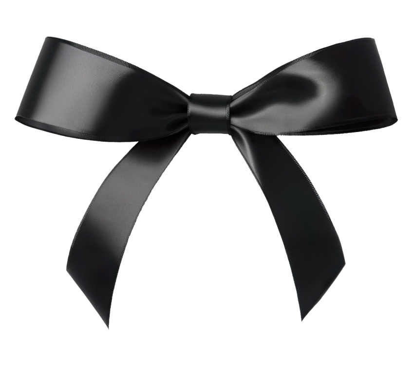Black Bow on transparent Background