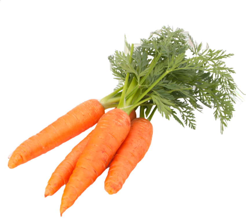 Freshe carrots transparent image png