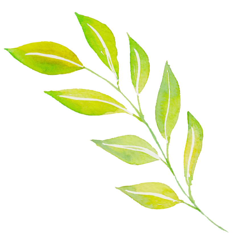 Watercolor Leaves Png