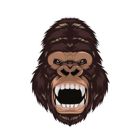 Gorilla Face Illustration