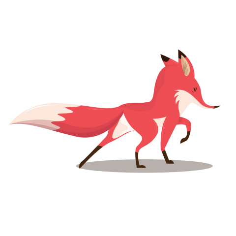 Funny Fox Png