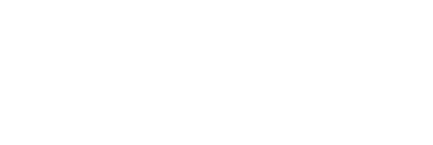 Instagram Wordmark White Logo png