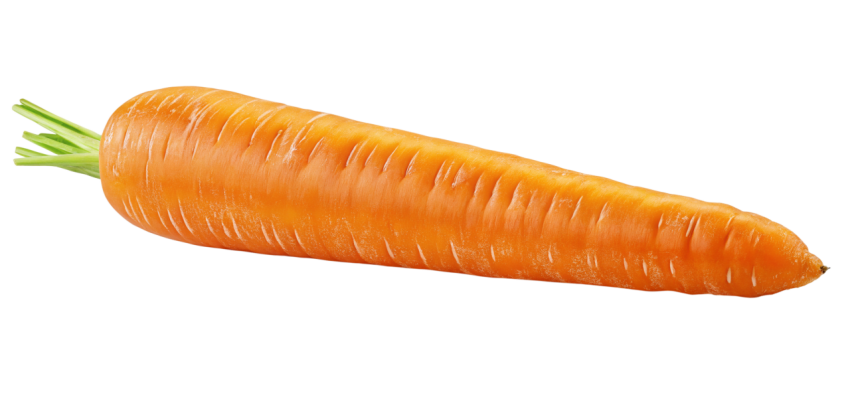 Single fresh orange carrot png image