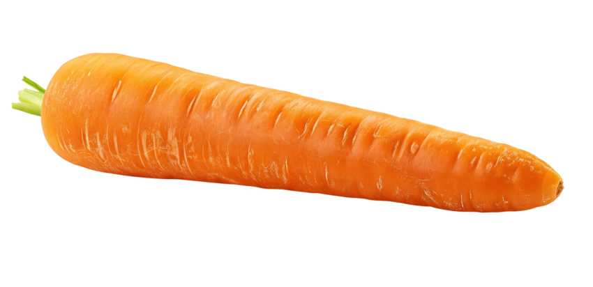 Single fresh orange carrot png image