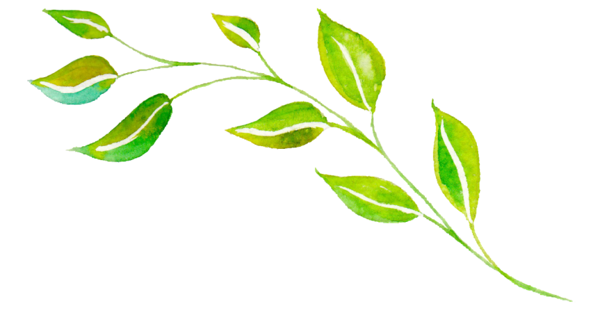 Watercolor Leaves Png