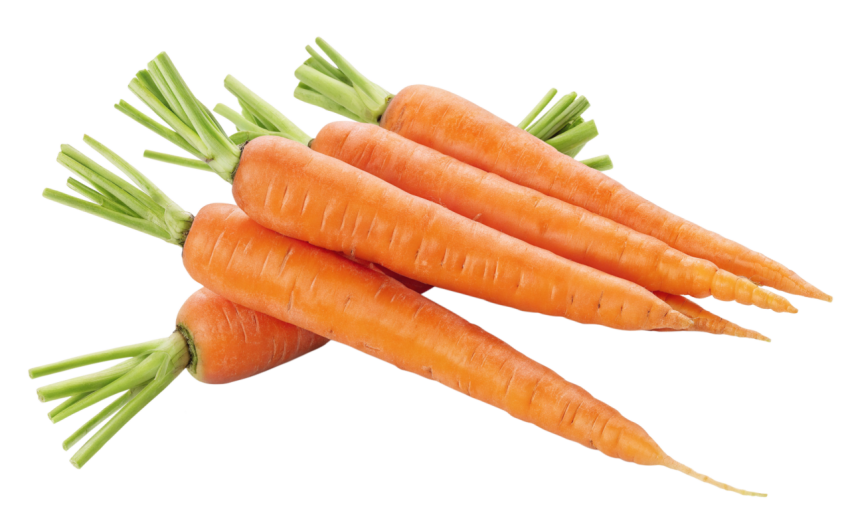 Carrot transparent image png
