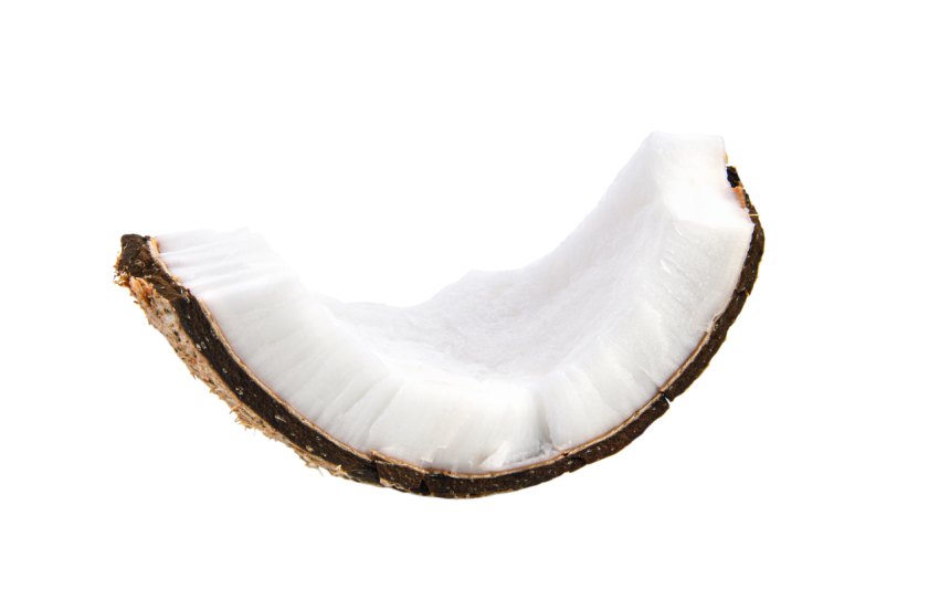 Coconut Slice Isolated on a Transparent Background