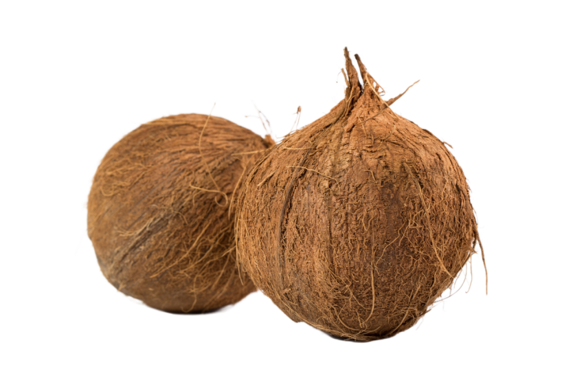 Brown Coconuts on a Transparent Background