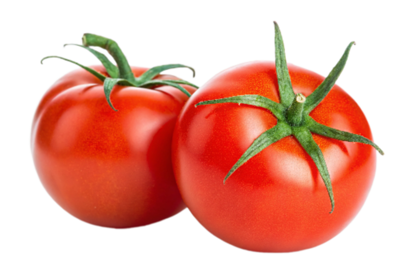 Tomatos transparent image png