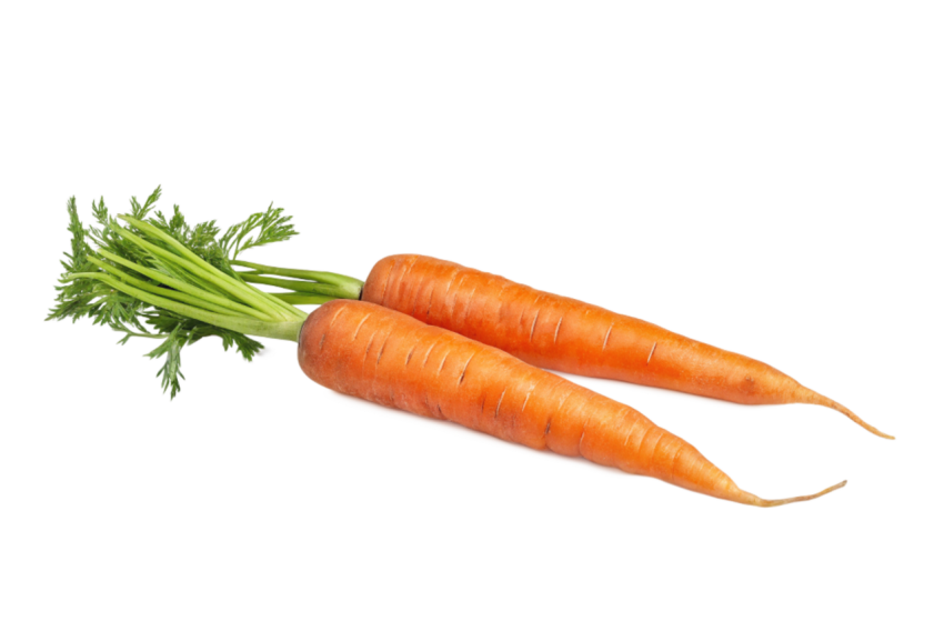 Freshe carrots transparent image png