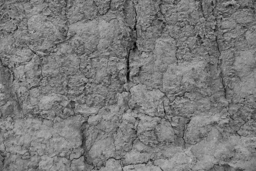 Soil Texture Grunge Background