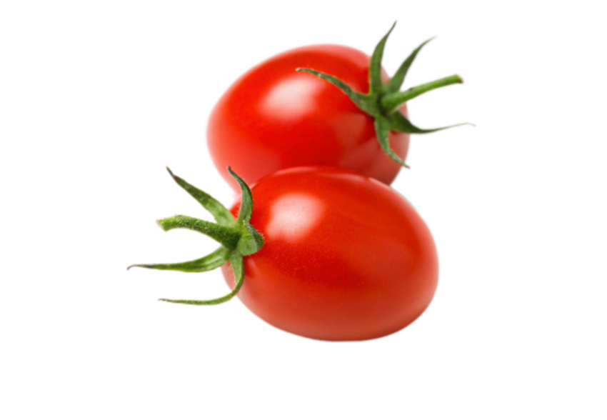 Tomatos transparent image png