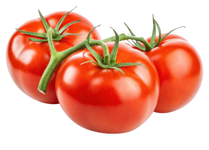 Tomatos transparent image png