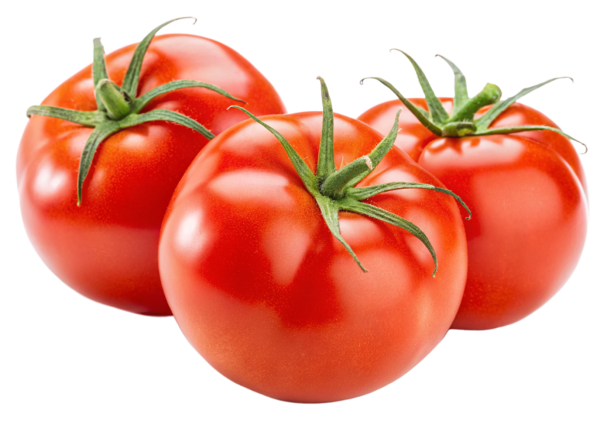 Tomatos transparent image png
