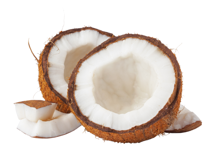 Halved Coconut on Transparent Background