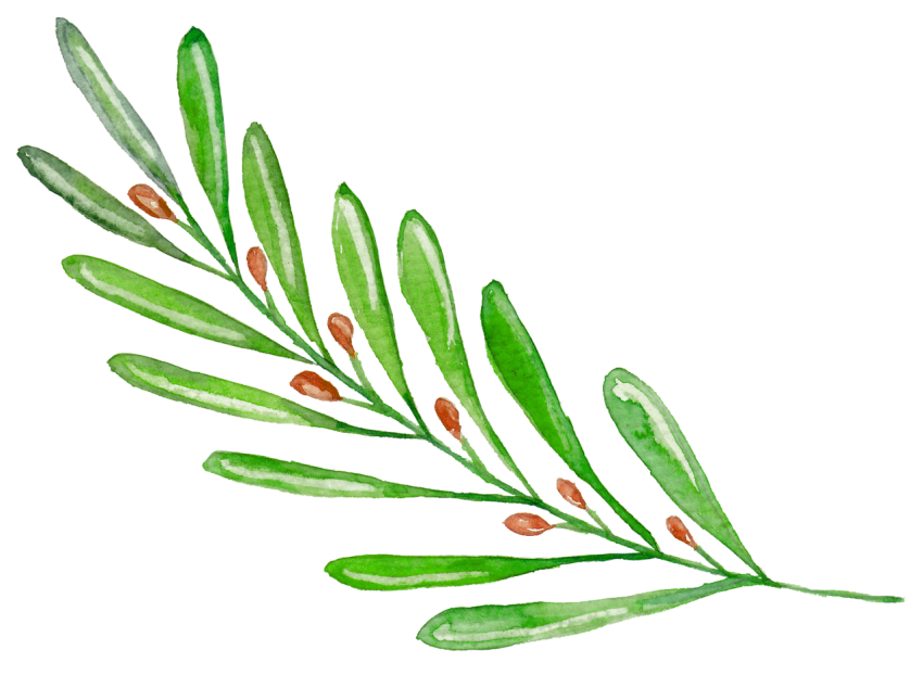 Png Watercolor Leaves