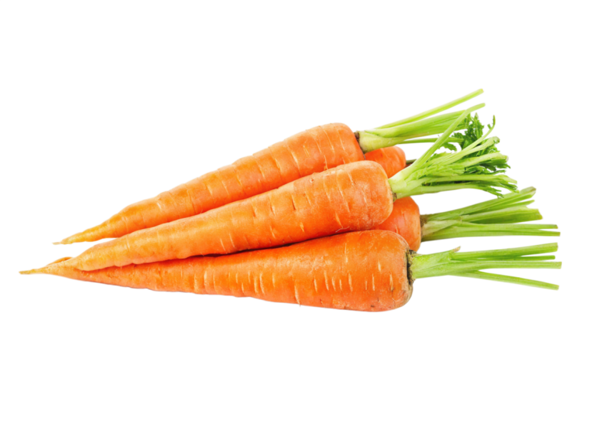 Carrot vegetable png image