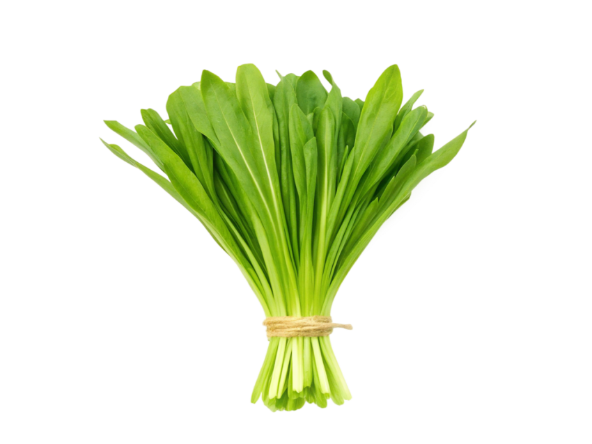 Fresh Culantro Leaves Isolated on Transparent Background