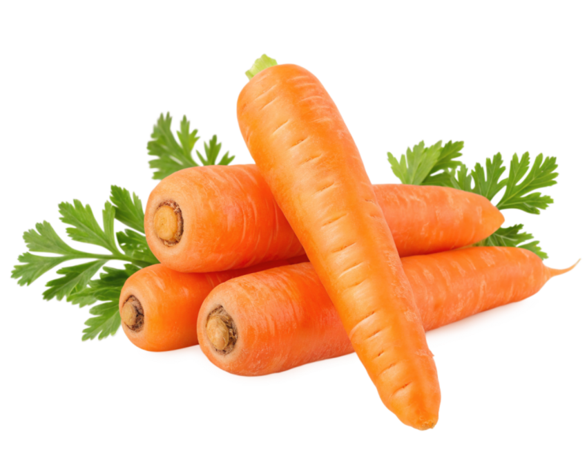 Freshe carrots transparent image png