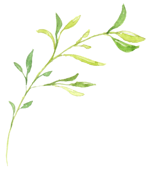 Png Watercolor Leaves