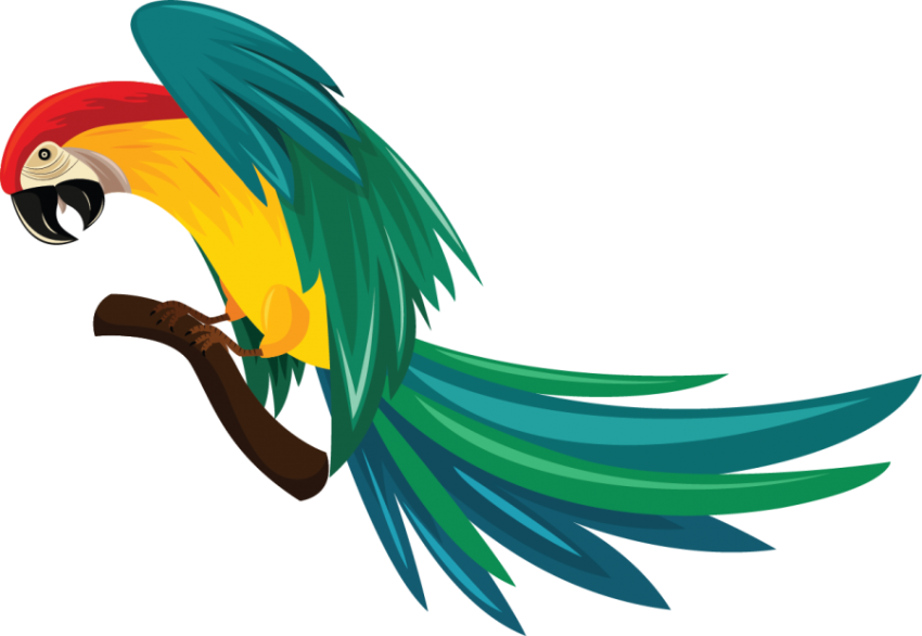 Parrot Illustration Png Free Download