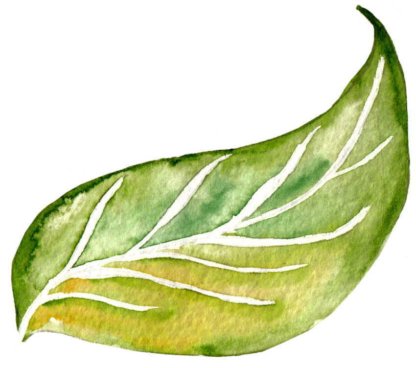 Png Watercolor Leaves