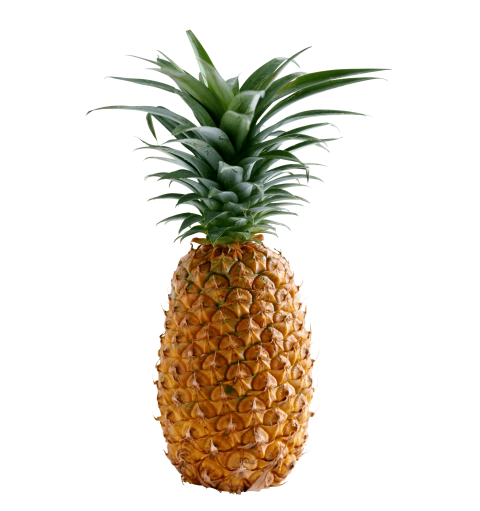Pineapple PNG Image Free Download