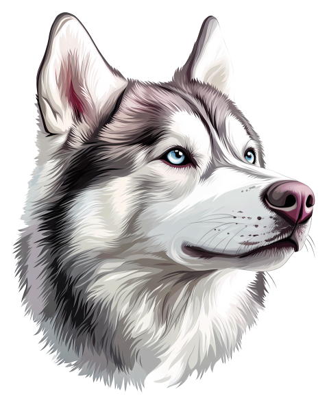 Siberian Husky Face Png