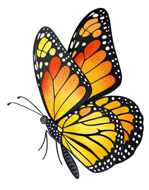Colorful  Patterns Butterfly PNG