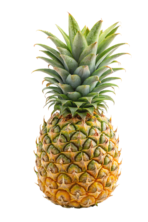 Fresh Pineapple Isolated on Transparent Background