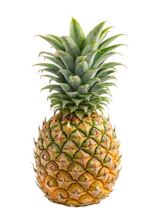 Fresh Pineapple Isolated on Transparent Background