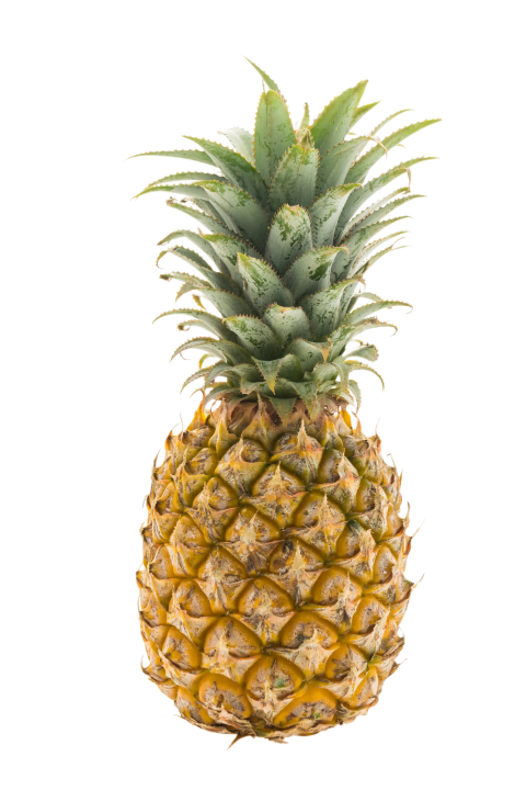Fresh Pineapple Isolated on Transparent Background