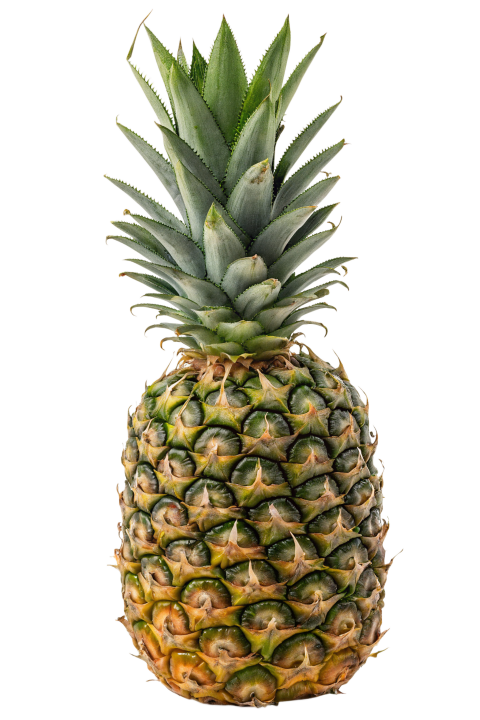 Fresh Pineapple on Transparent Background