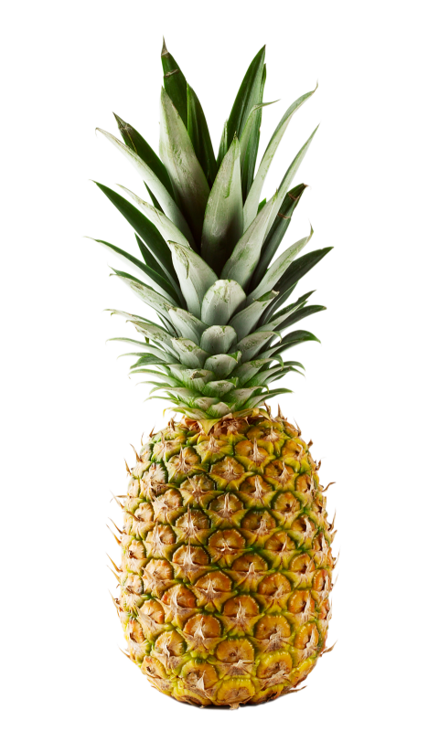 Fresh Pineapple on Transparent Background