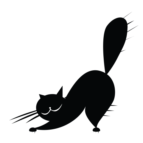 Funny Black Cat Png Free Download
