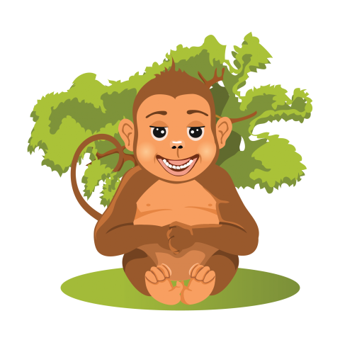 Capuchin Monkey Cartoon Png