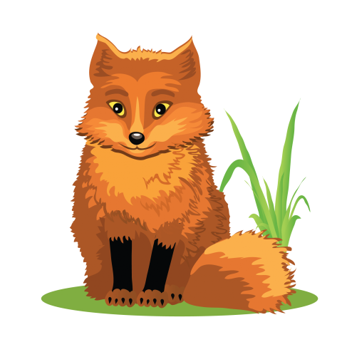 Cute Fox Cartoon