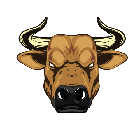 Bull Head Drawing
