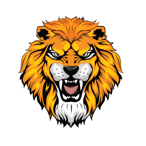 Lion face Illustration