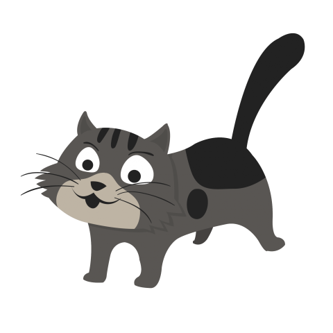Funny Baby Cat